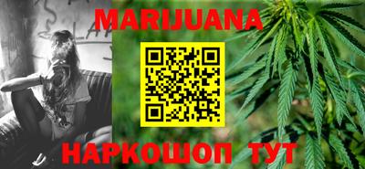 прущие грибы Ставрополь