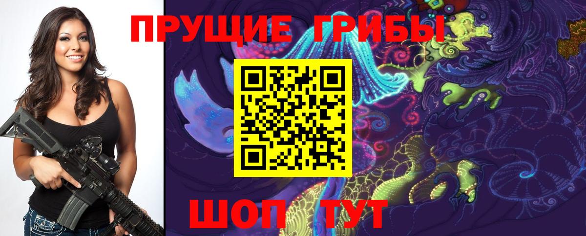Белгород  Псилоцибиновые грибы MAGIC MUSHROOMS  Галлюциногенные грибы мицелий  Вход с VPN 